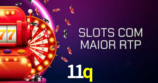 Premium Interface 11q